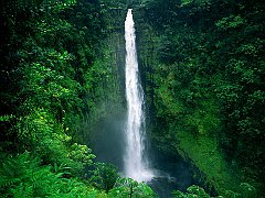 Akaka Falls, Big Island, Hawaii